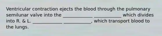 Ventricular contraction ejects <a href='https://www.questionai.com/knowledge/k7oXMfj7lk-the-blood' class='anchor-knowledge'>the blood</a> through the pulmonary semilunar valve into the _____________ ____________ which divides into R. & L. _____________ ____________, which transport blood to the lungs.