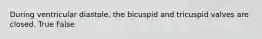 During ventricular diastole, the bicuspid and tricuspid valves are closed. True False