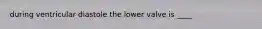 during ventricular diastole the lower valve is ____