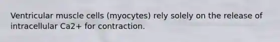 Ventricular muscle cells (myocytes) rely solely on the release of intracellular Ca2+ for contraction.