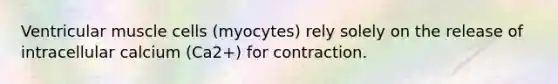 Ventricular muscle cells (myocytes) rely solely on the release of intracellular calcium (Ca2+) for contraction.