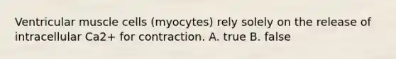 Ventricular muscle cells (myocytes) rely solely on the release of intracellular Ca2+ for contraction. A. true B. false