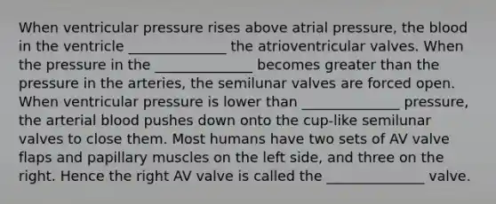 When ventricular pressure rises above atrial pressure, the blood in the ventricle ______________ the atrioventricular valves. When the pressure in the ______________ becomes greater than the pressure in the arteries, the semilunar valves are forced open. When ventricular pressure is lower than ______________ pressure, the arterial blood pushes down onto the cup-like semilunar valves to close them. Most humans have two sets of AV valve flaps and papillary muscles on the left side, and three on the right. Hence the right AV valve is called the ______________ valve.