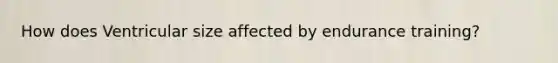 How does Ventricular size affected by endurance training?