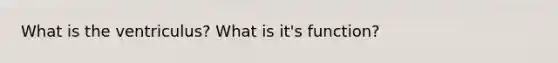 What is the ventriculus? What is it's function?