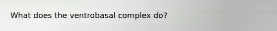 What does the ventrobasal complex do?