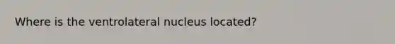 Where is the ventrolateral nucleus located?