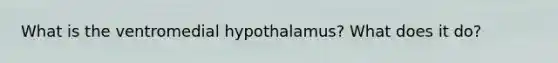 What is the ventromedial hypothalamus? What does it do?