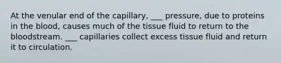 At the venular end of the capillary, ___ pressure, due to proteins in the blood, causes much of the tissue fluid to return to the bloodstream. ___ capillaries collect excess tissue fluid and return it to circulation.