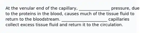 At the venular end of the capillary, _______________ pressure, due to the proteins in the blood, causes much of the tissue fluid to return to the bloodstream. ______________________ capillaries collect excess tissue fluid and return it to the circulation.