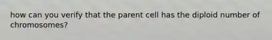 how can you verify that the parent cell has the diploid number of chromosomes?