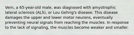 Vern, a 65-year-old male, was diagnosed with amyotrophic lateral sclerosis (ALS), or Lou Gehrig's disease. This disease damages the upper and lower motor neurons, eventually preventing neural signals from reaching the muscles. In response to the lack of signaling, the muscles become weaker and smaller.