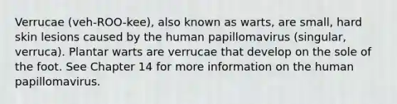 Verrucae (veh-ROO-kee), also known as warts, are small, hard skin lesions caused by the human papillomavirus (singular, verruca). Plantar warts are verrucae that develop on the sole of the foot. See Chapter 14 for more information on the human papillomavirus.