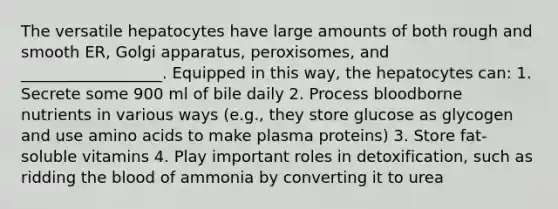 The versatile hepatocytes have large amounts of both rough and smooth ER, Golgi apparatus, peroxisomes, and __________________. Equipped in this way, the hepatocytes can: 1. Secrete some 900 ml of bile daily 2. Process bloodborne nutrients in various ways (e.g., they store glucose as glycogen and use amino acids to make plasma proteins) 3. Store fat-soluble vitamins 4. Play important roles in detoxification, such as ridding the blood of ammonia by converting it to urea