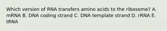 Which version of RNA transfers amino acids to the ribosome? A. mRNA B. DNA coding strand C. DNA template strand D. rRNA E. tRNA