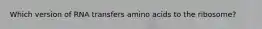 Which version of RNA transfers amino acids to the ribosome?