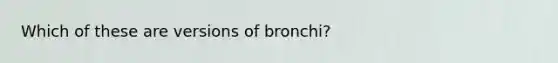 Which of these are versions of bronchi?