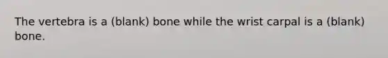 The vertebra is a (blank) bone while the wrist carpal is a (blank) bone.