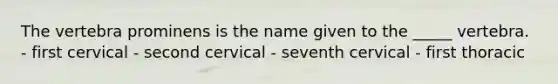 The vertebra prominens is the name given to the _____ vertebra. - first cervical - second cervical - seventh cervical - first thoracic