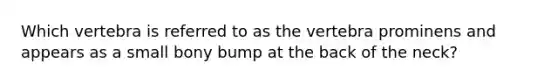 Which vertebra is referred to as the vertebra prominens and appears as a small bony bump at the back of the neck?