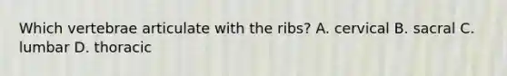 Which vertebrae articulate with the ribs? A. cervical B. sacral C. lumbar D. thoracic