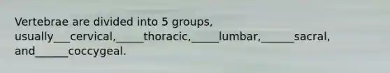 Vertebrae are divided into 5 groups, usually___cervical,_____thoracic,_____lumbar,______sacral, and______coccygeal.