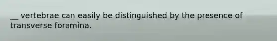 __ vertebrae can easily be distinguished by the presence of transverse foramina.
