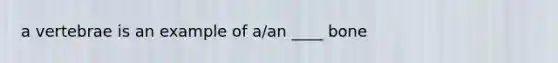 a vertebrae is an example of a/an ____ bone