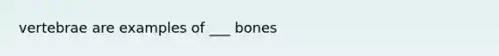 vertebrae are examples of ___ bones