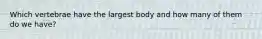 Which vertebrae have the largest body and how many of them do we have?