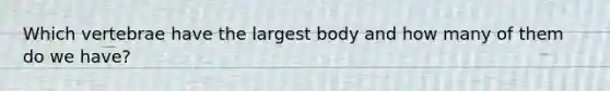 Which vertebrae have the largest body and how many of them do we have?