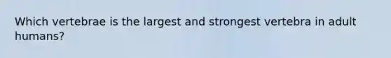 Which vertebrae is the largest and strongest vertebra in adult humans?