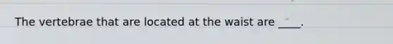 The vertebrae that are located at the waist are ____.