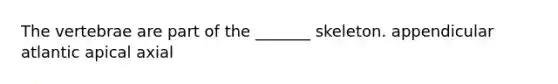 The vertebrae are part of the _______ skeleton. appendicular atlantic apical axial