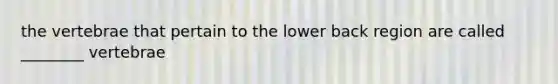 the vertebrae that pertain to the lower back region are called ________ vertebrae