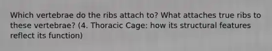 Which vertebrae do the ribs attach to? What attaches true ribs to these vertebrae? (4. Thoracic Cage: how its structural features reflect its function)