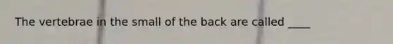 The vertebrae in the small of the back are called ____