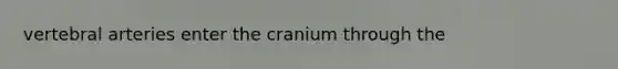 vertebral arteries enter the cranium through the