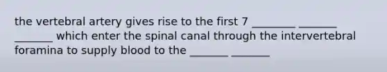 the vertebral artery gives rise to the first 7 ________ _______ _______ which enter the spinal canal through the intervertebral foramina to supply blood to the _______ _______