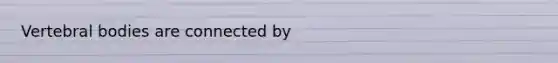 Vertebral bodies are connected by