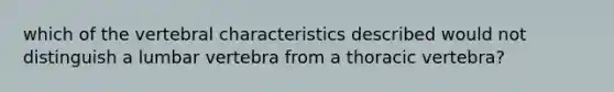 which of the vertebral characteristics described would not distinguish a lumbar vertebra from a thoracic vertebra?