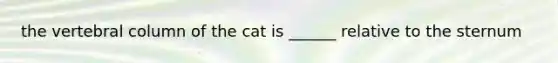 the vertebral column of the cat is ______ relative to the sternum