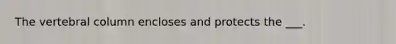 The <a href='https://www.questionai.com/knowledge/ki4fsP39zf-vertebral-column' class='anchor-knowledge'>vertebral column</a> encloses and protects the ___.