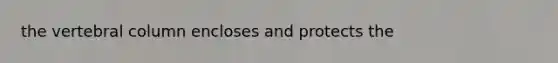 the <a href='https://www.questionai.com/knowledge/ki4fsP39zf-vertebral-column' class='anchor-knowledge'>vertebral column</a> encloses and protects the