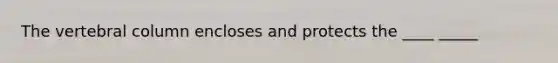 The vertebral column encloses and protects the ____ _____