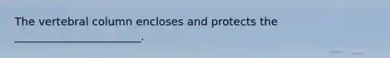 The vertebral column encloses and protects the _______________________.