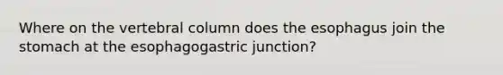 Where on the vertebral column does the esophagus join the stomach at the esophagogastric junction?