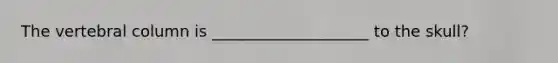 The vertebral column is ____________________ to the skull?