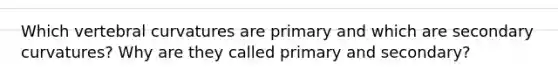 Which vertebral curvatures are primary and which are secondary curvatures? Why are they called primary and secondary?