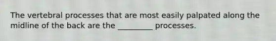 The vertebral processes that are most easily palpated along the midline of the back are the _________ processes.